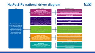 NatPatSIPs national driver diagram
 