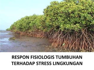 RESPON FISIOLOGIS TUMBUHAN
TERHADAP STRESS LINGKUNGAN
 