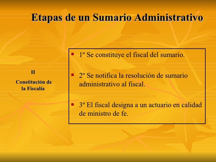 Responsabilidad Administrativa Presentacion Terminada[1]