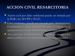 AACCCCIIOONN CCIIVVIILL RREESSAARRCCIITTOORRIIAA 
 AAcccciióónn cciivviill ppoorr ddaaññoo aammbbiieennttaall ppuueeddee sseerr iinniicciiaaddaa ppoorr 
llaa PPGGRR ((AArrtt 3388 CCPPPP yy 5588 LLFF)) 
 CCaassoo ccoonnttrraarriioo,, ppuueeddee sseerr iinnccooaaddaa ppoorr:: AAssoocciiaacciioonneess,, 
FFuunnddaacciioonneess yy oottrrooss eenntteess eenn eell ttaannttoo eell oobbjjeettoo ddee llaa 
aaggrruuppaacciióónn ssee vviinnccuullee ddiirreeccttaammeennttee ccoonn eessooss iinntteerreesseess,, 
 AAssíí ccoommoo ppoorr eell ddiirreeccttaammeennttee ooffeennddiiddoo eenn ccuuaannttoo aa llooss 
ddaaññooss ssuuffrriiddooss eenn ssuuss ddeerreecchhooss ssuubbjjeettiivvooss ppaarrttiiccuullaarreess 
 