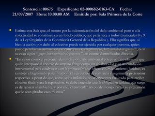 Sentencia: 00675 Expediente: 02-000682-00116633--CCAA FFeecchhaa:: 
2211//0099//22000077 HHoorraa:: 1100::0000::0000 AAMM EEmmiittiiddoo ppoorr:: SSaallaa PPrriimmeerraa ddee llaa CCoorrttee 
 EEssttiimmaa eessttaa SSaallaa qquuee,, eell mmoonnttoo ppoorr llaa iinnddeemmnniizzaacciióónn ddeell ddaaññoo aammbbiieennttaall ppuurroo oo aa llaa 
ccoolleeccttiivviiddaadd ssee ccoonnssttiittuuyyee eenn uunn ffoonnddoo ppúúbblliiccoo,, qquuee ppeerrtteenneeccee aa ttooddooss ((nnuummeerraalleess 88 yy 99 
ddee llaa LLeeyy OOrrggáánniiccaa ddee llaa CCoonnttrraalloorrííaa GGeenneerraall ddee llaa RReeppúúbblliiccaa )).. EElllloo ssiiggnniiffiiccaa qquuee,, ssii 
bbiieenn llaa aacccciióónn ppoorr ddaaññoo aall ccoolleeccttiivvoo ppuueeddee sseerr eejjeerrcciiddaa ppoorr ccuuaallqquuiieerr ppeerrssoonnaa,, qquuiieenn 
ppuueeddee ppeerrcciibbiirr llaass ssuummaass ppoorr eessee ccoonncceeppttoo eess,, eenn pprriinncciippiioo,, llaa ““ ssoocciieeddaadd eenn ggeenneerraall ””,, oo eenn 
ssuu ccaassoo aallggúúnn ““ ggrruuppoo iinnddeetteerrmmiinnaaddoo ddee ppeerrssoonnaass ””,, eenn ccuuaannttoo ddaammnniiffiiccaaddooss ddiirreeccttooss.. 
 ““EEnn ccaassooss ccoommoo eell pprreesseennttee -ddeennuunncciiaa ppoorr ddaaññoo aammbbiieennttaall ccoolleeccttiivvoo-,, nnoo oobbssttaannttee qquuee 
qquuiiéénn iinntteerrppoonnee eell rreeccuurrssoo ddee aammppaarroo ffuunnggee ccoommoo uunn ccoollaabboorraaddoorr yy eenn ssuu ccoonnddiicciióónn 
iinnssttrruummeennttaall ppaarraa ccooaaddyyuuvvaarr ccoonn llaa pprrootteecccciióónn qquuee ooffrreeccee eell OOrrddeennaammiieennttoo JJuurrííddiiccoo,, eess 
ttaammbbiiéénn eell lleeggiittiimmaaddoo ppaarraa iinntteerrppoonneerr llaa eejjeeccuucciióónn ddee sseenntteenncciiaa yy eessggrriimmiirr llaa pprreetteennssiióónn 
rreessppeeccttiivvaa,, aa ppeessaarr ddee qquuee,, ccoommoo ssee hhaa iinnddiiccaaddoo,, nnoo ssee eennccuueennttrraa ffaaccuullttaaddoo ppaarraa rreecciibbiirr 
eell rruubbrroo ffiijjaaddoo ppaarraa llaa rreeppaarraacciióónn.. SSee ddeebbee eenntteennddeerr qquuee llaa oobblliiggaacciióónn jjuurrííddiiccaa qquuee ssuurrggee 
eess ddee rreeppaarraarr aall aammbbiieennttee,, yy ppoorr eelllloo,, eell ppaarrttiiccuullaarr nnoo ppuueeddee iinnccoorrppoorraarr eenn ssuu pprreetteennssiióónn 
qquuee llee sseeaann ggiirraaddooss eessooss mmoonnttooss”” 
 