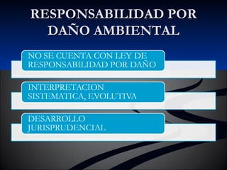 RREESSPPOONNSSAABBIILLIIDDAADD PPOORR 
DDAAÑÑOO AAMMBBIIEENNTTAALL 
 