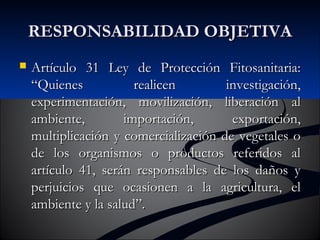 RREESSPPOONNSSAABBIILLIIDDAADD OOBBJJEETTIIVVAA 
 AArrttííccuulloo 3311 LLeeyy ddee PPrrootteecccciióónn FFiittoossaanniittaarriiaa:: 
““QQuuiieenneess rreeaalliicceenn iinnvveessttiiggaacciióónn,, 
eexxppeerriimmeennttaacciióónn,, mmoovviilliizzaacciióónn,, lliibbeerraacciióónn aall 
aammbbiieennttee,, iimmppoorrttaacciióónn,, eexxppoorrttaacciióónn,, 
mmuullttiipplliiccaacciióónn yy ccoommeerrcciiaalliizzaacciióónn ddee vveeggeettaalleess oo 
ddee llooss oorrggaanniissmmooss oo pprroodduuccttooss rreeffeerriiddooss aall 
aarrttííccuulloo 4411,, sseerráánn rreessppoonnssaabblleess ddee llooss ddaaññooss yy 
ppeerrjjuuiicciiooss qquuee ooccaassiioonneenn aa llaa aaggrriiccuullttuurraa,, eell 
aammbbiieennttee yy llaa ssaalluudd””.. 
 