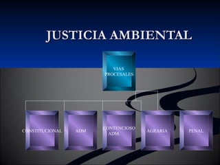 JJUUSSTTIICCIIAA AAMMBBIIEENNTTAALL 
VIAS 
PROCESALES 
CONSTITUCIONAL ADM CONTENCIOSO 
ADM. AGRARIA PENAL 
 