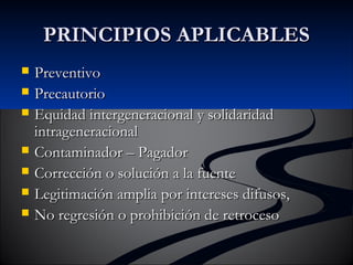 PPRRIINNCCIIPPIIOOSS AAPPLLIICCAABBLLEESS 
 PPrreevveennttiivvoo 
 PPrreeccaauuttoorriioo 
 EEqquuiiddaadd iinntteerrggeenneerraacciioonnaall yy ssoolliiddaarriiddaadd 
iinnttrraaggeenneerraacciioonnaall 
 CCoonnttaammiinnaaddoorr –– PPaaggaaddoorr 
 CCoorrrreecccciióónn oo ssoolluucciióónn aa llaa ffuueennttee 
 LLeeggiittiimmaacciióónn aammpplliiaa ppoorr iinntteerreesseess ddiiffuussooss,, 
 NNoo rreeggrreessiióónn oo pprroohhiibbiicciióónn ddee rreettrroocceessoo 
 