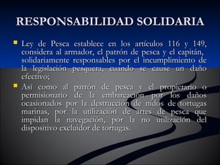 RREESSPPOONNSSAABBIILLIIDDAADD SSOOLLIIDDAARRIIAA 
 LLeeyy ddee PPeessccaa eessttaabblleeccee eenn llooss aarrttííccuullooss 111166 yy 114499,, 
ccoonnssiiddeerraa aall aarrmmaaddoorr,, eell ppaattrróónn ddee ppeessccaa yy eell ccaappiittáánn,, 
ssoolliiddaarriiaammeennttee rreessppoonnssaabblleess ppoorr eell iinnccuummpplliimmiieennttoo ddee 
llaa lleeggiissllaacciióónn ppeessqquueerraa,, ccuuaannddoo ssee ccaauussee uunn ddaaññoo 
eeffeeccttiivvoo;; 
 AAssíí ccoommoo aall ppaattrróónn ddee ppeessccaa yy eell pprrooppiieettaarriioo oo 
ppeerrmmiissiioonnaarriioo ddee llaa eemmbbaarrccaacciióónn ppoorr llooss ddaaññooss 
ooccaassiioonnaaddooss ppoorr llaa ddeessttrruucccciióónn ddee nniiddooss ddee ttoorrttuuggaass 
mmaarriinnaass,, ppoorr llaa uuttiilliizzaacciióónn ddee aarrtteess ddee ppeessccaa qquuee 
iimmppiiddaann llaa nnaavveeggaacciióónn,, ppoorr llaa nnoo uuttiilliizzaacciióónn ddeell 
ddiissppoossiittiivvoo eexxcclluuiiddoorr ddee ttoorrttuuggaass.. 
 