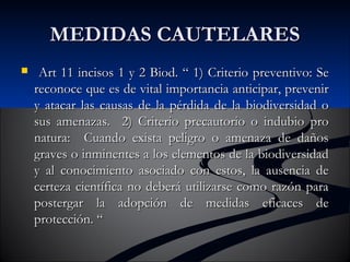 MMEEDDIIDDAASS CCAAUUTTEELLAARREESS 
 AArrtt 1111 iinncciissooss 11 yy 22 BBiioodd.. ““ 11)) CCrriitteerriioo pprreevveennttiivvoo:: SSee 
rreeccoonnooccee qquuee eess ddee vviittaall iimmppoorrttaanncciiaa aannttiicciippaarr,, pprreevveenniirr 
yy aattaaccaarr llaass ccaauussaass ddee llaa ppéérrddiiddaa ddee llaa bbiiooddiivveerrssiiddaadd oo 
ssuuss aammeennaazzaass.. 22)) CCrriitteerriioo pprreeccaauuttoorriioo oo iinndduubbiioo pprroo 
nnaattuurraa:: CCuuaannddoo eexxiissttaa ppeelliiggrroo oo aammeennaazzaa ddee ddaaññooss 
ggrraavveess oo iinnmmiinneenntteess aa llooss eelleemmeennttooss ddee llaa bbiiooddiivveerrssiiddaadd 
yy aall ccoonnoocciimmiieennttoo aassoocciiaaddoo ccoonn eessttooss,, llaa aauusseenncciiaa ddee 
cceerrtteezzaa cciieennttííffiiccaa nnoo ddeebbeerráá uuttiilliizzaarrssee ccoommoo rraazzóónn ppaarraa 
ppoosstteerrggaarr llaa aaddooppcciióónn ddee mmeeddiiddaass eeffiiccaacceess ddee 
pprrootteecccciióónn.. ““ 
 