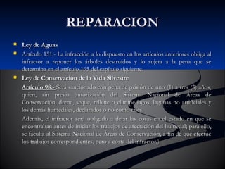 RREEPPAARRAACCIIOONN 
 LLeeyy ddee AAgguuaass 
 AArrttííccuulloo 115511..-- LLaa iinnffrraacccciióónn aa lloo ddiissppuueessttoo eenn llooss aarrttííccuullooss aanntteerriioorreess oobblliiggaa aall 
iinnffrraaccttoorr aa rreeppoonneerr llooss áárrbboolleess ddeessttrruuííddooss yy lloo ssuujjeettaa aa llaa ppeennaa qquuee ssee 
ddeetteerrmmiinnaa eenn eell aarrttííccuulloo 116655 ddeell ccaappííttuulloo ssiigguuiieennttee.. 
 LLeeyy ddee CCoonnsseerrvvaacciióónn ddee llaa VViiddaa SSiillvveessttrree 
AArrttííccuulloo 9988..-- SSeerráá ssaanncciioonnaaddoo ccoonn ppeennaa ddee pprriissiióónn ddee uunnoo ((11)) aa ttrreess ((33)) aaññooss,, 
qquuiieenn,, ssiinn pprreevviiaa aauuttoorriizzaacciióónn ddeell SSiisstteemmaa NNaacciioonnaall ddee ÁÁrreeaass ddee 
CCoonnsseerrvvaacciióónn,, ddrreennee,, sseeqquuee,, rreelllleennee oo eelliimmiinnee llaaggooss,, llaagguunnaass nnoo aarrttiiffiicciiaalleess yy 
llooss ddeemmááss hhuummeeddaalleess,, ddeeccllaarraaddooss oo nnoo ccoommoo ttaalleess.. 
AAddeemmááss,, eell iinnffrraaccttoorr sseerráá oobblliiggaaddoo aa ddeejjaarr llaass ccoossaass eenn eell eessttaaddoo eenn qquuee ssee 
eennccoonnttrraabbaann aanntteess ddee iinniicciiaarr llooss ttrraabbaajjooss ddee aaffeeccttaacciióónn ddeell hhuummeeddaall;; ppaarraa eelllloo,, 
ssee ffaaccuullttaa aall SSiisstteemmaa NNaacciioonnaall ddee ÁÁrreeaass ddee CCoonnsseerrvvaacciióónn,, aa ffiinn ddee qquuee eeffeeccttúúee 
llooss ttrraabbaajjooss ccoorrrreessppoonnddiieenntteess,, ppeerroo aa ccoossttaa ddeell iinnffrraaccttoorr..)) 
 