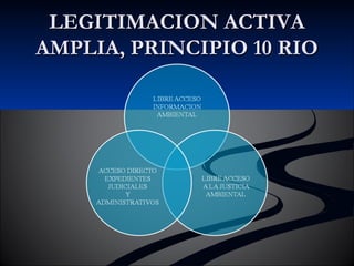 LLEEGGIITTIIMMAACCIIOONN AACCTTIIVVAA 
AAMMPPLLIIAA,, PPRRIINNCCIIPPIIOO 1100 RRIIOO 
 