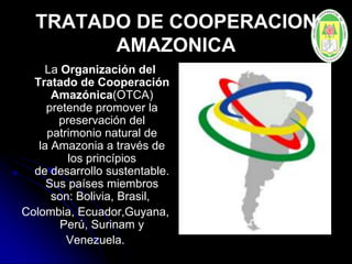 TRATADO DE COOPERACION
AMAZONICA
La Organización del
Tratado de Cooperación
Amazónica(OTCA)
pretende promover la
preservación del
patrimonio natural de
la Amazonia a través de
los princípios
de desarrollo sustentable.
Sus países miembros
son: Bolivia, Brasil,
Colombia, Ecuador,Guyana,
Perú, Surinam y
Venezuela.
 
