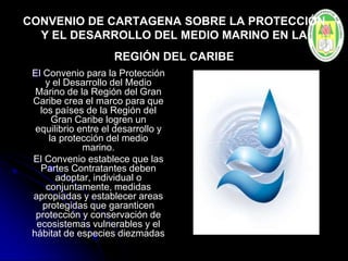 CONVENIO DE CARTAGENA SOBRE LA PROTECCIÓN
Y EL DESARROLLO DEL MEDIO MARINO EN LA
REGIÓN DEL CARIBE
El Convenio para la Protección
y el Desarrollo del Medio
Marino de la Región del Gran
Caribe crea el marco para que
los países de la Región del
Gran Caribe logren un
equilibrio entre el desarrollo y
la protección del medio
marino.
El Convenio establece que las
Partes Contratantes deben
adoptar, individual o
conjuntamente, medidas
apropiadas y establecer areas
protegidas que garanticen
protección y conservación de
ecosistemas vulnerables y el
hábitat de especies diezmadas
 