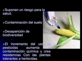 Suponen un riesgo para la
salud.
Contaminación del suelo
Desaparición de
biodiversidad
El incremento del uso de
pesticidas aumenta la
contaminación química y crea
resistencias Con las plantas
tolerantes a herbicidas.
 