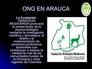ONG EN ARAUCA
La Fundación
ORINOQUIA
BIODIVERSIA promueve
la conservación de la
riqueza biológica
mediante la investigación
científica y tecnológica, el
diseño y la
implementación de
proyectos productivos
sostenibles que
contribuyan a mejorar la
calidad de vida de las
comunidades locales de
la Orinoquia y otras
regiones de Colombia.
 