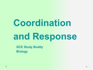 Coordination
and Response
GCE Study Buddy
Biology
 