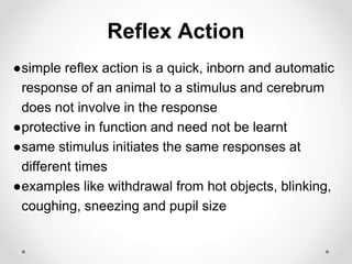 Reflex Action
●simple reflex action is a quick, inborn and automatic
response of an animal to a stimulus and cerebrum
does not involve in the response
●protective in function and need not be learnt
●same stimulus initiates the same responses at
different times
●examples like withdrawal from hot objects, blinking,
coughing, sneezing and pupil size
 