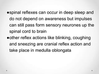 ●spinal reflexes can occur in deep sleep and
do not depend on awareness but impulses
can still pass form sensory neurones up the
spinal cord to brain
●other reflex actions like blinking, coughing
and sneezing are cranial reflex action and
take place in medulla oblongata
 