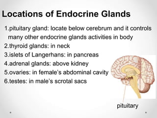 Locations of Endocrine Glands
1.pituitary gland: locate below cerebrum and it controls
many other endocrine glands activities in body
2.thyroid glands: in neck
3.islets of Langerhans: in pancreas
4.adrenal glands: above kidney
5.ovaries: in female’s abdominal cavity
6.testes: in male’s scrotal sacs
pituitary
 