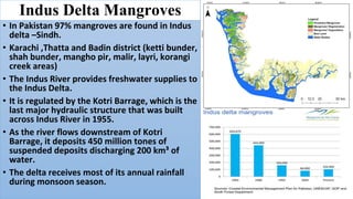 Response of Mangroves to the Change in Tidal and Freshwater Flow. | PPTX