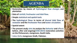 Response of Mangroves to the Change in Tidal and Freshwater Flow. | PPTX