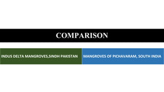 Response of Mangroves to the Change in Tidal and Freshwater Flow. | PPTX
