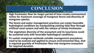 Response of Mangroves to the Change in Tidal and Freshwater Flow. | PPTX