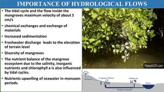 Response of Mangroves to the Change in Tidal and Freshwater Flow. | PPTX