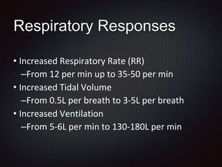 Respiratory Responses
• Increased Respiratory Rate (RR)
–From 12 per min up to 35-50 per min
• Increased Tidal Volume
–From 0.5L per breath to 3-5L per breath
• Increased Ventilation
–From 5-6L per min to 130-180L per min
 