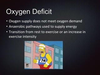 Oxygen Deficit
• Oxygen supply does not meet oxygen demand
• Anaerobic pathways used to supply energy
• Transition from rest to exercise or an increase in
exercise intensity
 