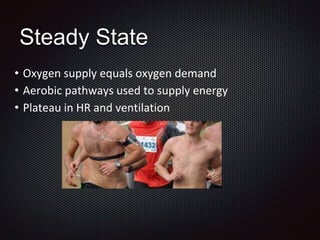 Steady State
• Oxygen supply equals oxygen demand
• Aerobic pathways used to supply energy
• Plateau in HR and ventilation
 
