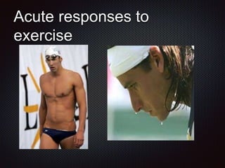 Acute responses to
exercise
 