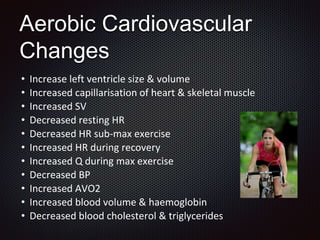 Aerobic Cardiovascular
Changes
• Increase left ventricle size & volume
• Increased capillarisation of heart & skeletal muscle
• Increased SV
• Decreased resting HR
• Decreased HR sub-max exercise
• Increased HR during recovery
• Increased Q during max exercise
• Decreased BP
• Increased AVO2
• Increased blood volume & haemoglobin
• Decreased blood cholesterol & triglycerides
 