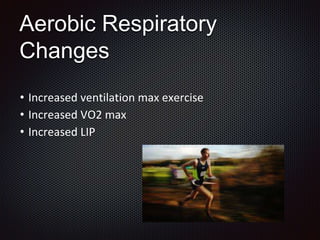 Aerobic Respiratory
Changes
• Increased ventilation max exercise
• Increased VO2 max
• Increased LIP
 