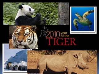 A sustainable worldIn a sustainable world, human populations can continue to exist with a high standard of living and health becauseBiodiversity is preservedHabitats are preservedNonrenewable resource are used sparingly and efficientlyRenewable resources are used no faster than they can be replacedThere are enough resources for the next generation