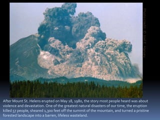 Photo credit: © Joel E. HarveyAfter Mount St. Helens erupted on May 18, 1980, the story most people heard was about violence and devastation. One of the greatest natural disasters of our time, the eruption killed 57 people, sheared 1,300 feet off the summit of the mountain, and turned a pristine forested landscape into a barren, lifeless wasteland.