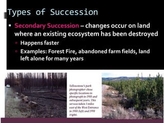 Types of SuccessionSecondary Succession – changes occur on land where an existing ecosystem has been destroyedHappens fasterExamples: Forest Fire, abandoned farm fields, land left alone for many years