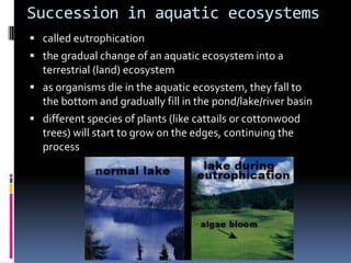 Succession in aquatic ecosystemscalled eutrophicationthe gradual change of an aquatic ecosystem into a terrestrial (land) ecosystemas organisms die in the aquatic ecosystem, they fall to the bottom and gradually fill in the pond/lake/river basindifferent species of plants (like cattails or cottonwood trees) will start to grow on the edges, continuing the process 