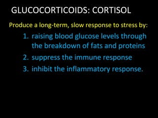 GLUCOCORTICOIDS: CORTISOL Produce a long-term, slow response to stress by: raising blood glucose levels through the breakdown of fats and proteins suppress the immune response  inhibit the inflammatory response. 