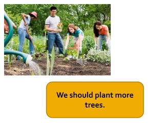 We should plant more
trees.
 