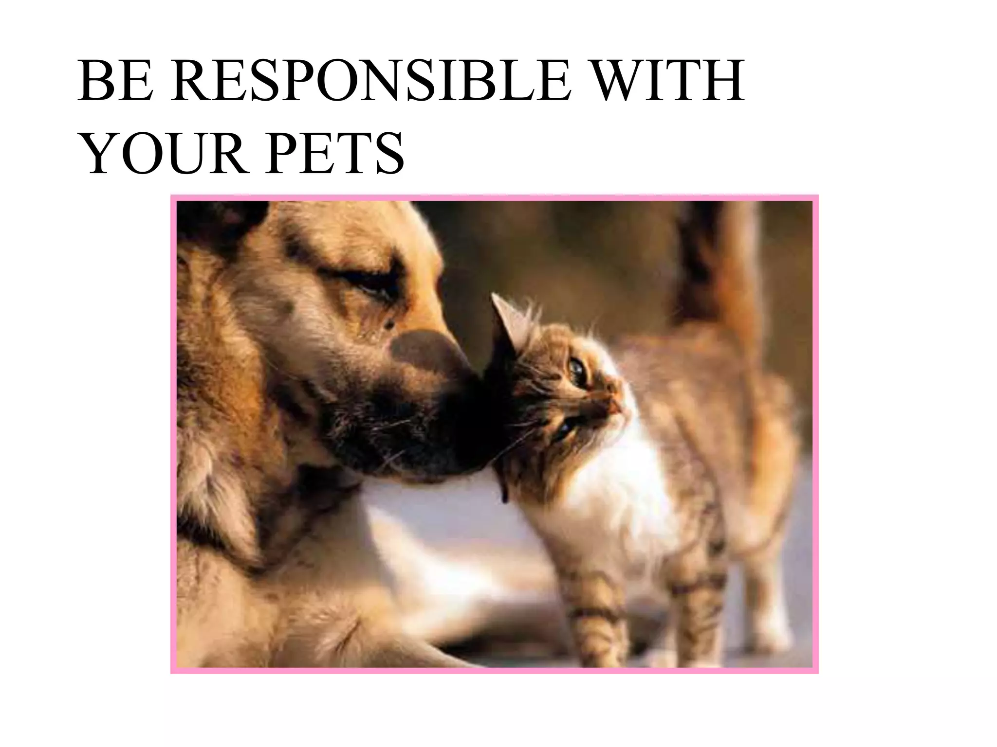 BE RESPONSIBLE WITH
YOUR PETS
 