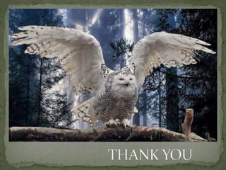 Responsibility for health