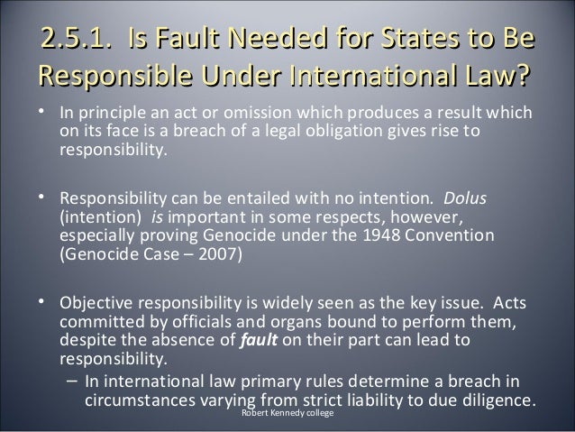 Responsibility in International Law