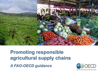 Promoting responsible
agricultural supply chains
A FAO-OECD guidance
1
 