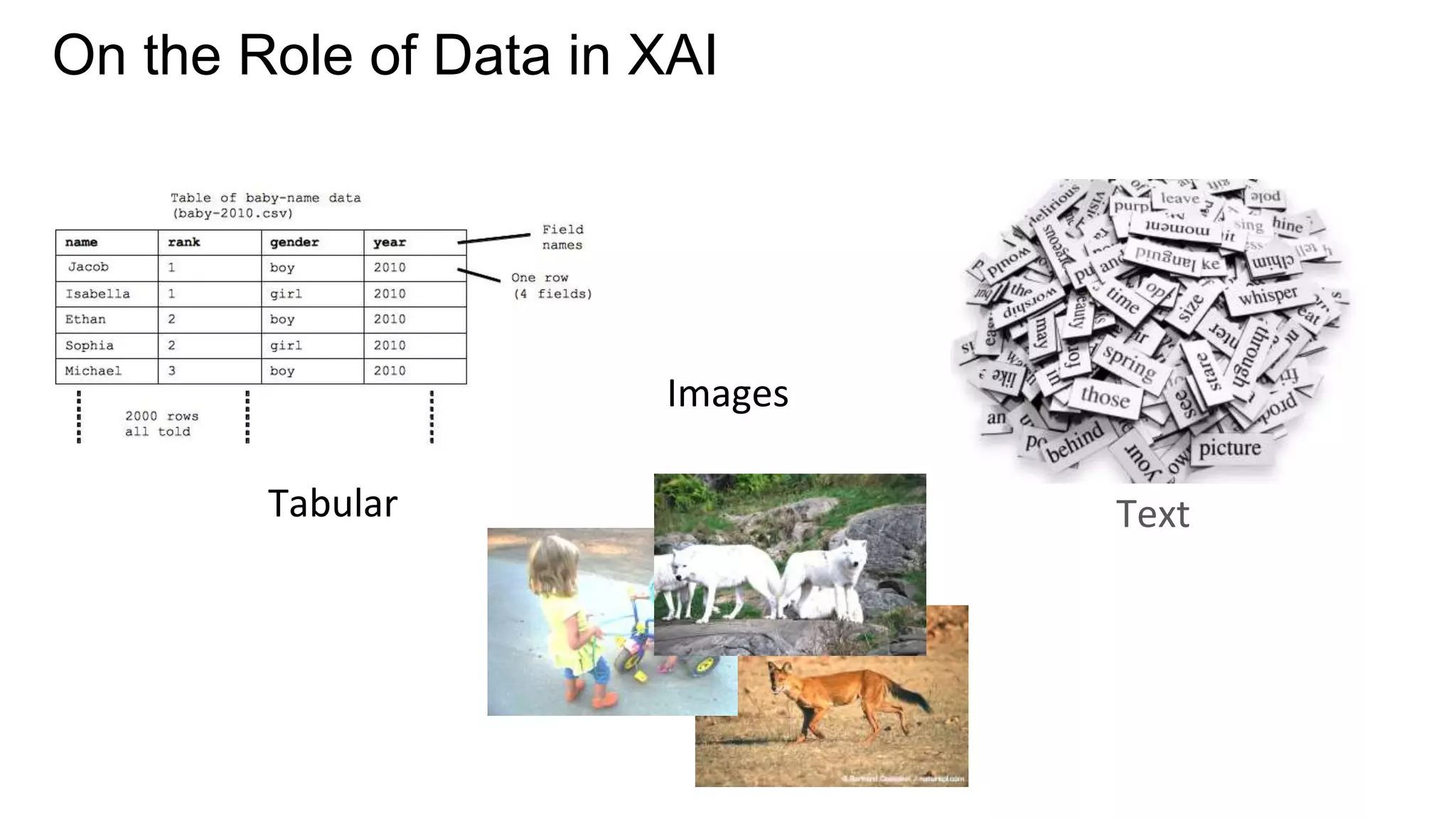 Text
Tabular
Images
On the Role of Data in XAI
 