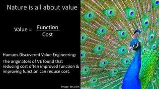 Value = Function
Cost
Nature is all about value
Humans Discovered Value Engineering:
The originators of VE found that
reducing cost often improved function &
improving function can reduce cost.
Image; tes.com
 