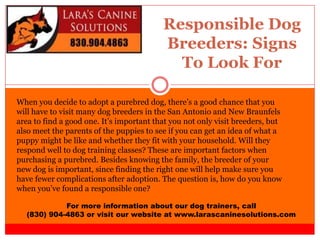 Responsible Dog
Breeders: Signs
To Look For
For more information about our dog trainers, call
(830) 904-4863 or visit our website at www.larascaninesolutions.com
When you decide to adopt a purebred dog, there’s a good chance that you
will have to visit many dog breeders in the San Antonio and New Braunfels
area to find a good one. It’s important that you not only visit breeders, but
also meet the parents of the puppies to see if you can get an idea of what a
puppy might be like and whether they fit with your household. Will they
respond well to dog training classes? These are important factors when
purchasing a purebred. Besides knowing the family, the breeder of your
new dog is important, since finding the right one will help make sure you
have fewer complications after adoption. The question is, how do you know
when you’ve found a responsible one?
 
