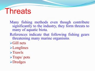 Threats
Many fishing methods even though contribute
significantly to the industry, they form threats to
many of aquatic bi...