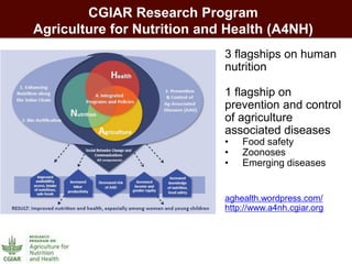 •3 flagships on human nutrition 
•1 flagship on prevention and control of agriculture associated diseases 
•Food safety 
•Zoonoses 
•Emerging diseases 
aghealth.wordpress.com/ 
http://www.a4nh.cgiar.org 
CGIAR Research Program Agriculture for Nutrition and Health (A4NH)  