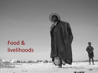 Food & livelihoods  