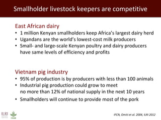 Smallholder livestock keepers are competitive 
East African dairy 
•1 million Kenyan smallholders keep Africa’s largest dairy herd 
•Ugandans are the world’s lowest-cost milk producers 
•Small- and large-scale Kenyan poultry and dairy producers have same levels of efficiency and profits 
Vietnam pig industry 
•95% of production is by producers with less than 100 animals 
•Industrial pig production could grow to meet no more than 12% of national supply in the next 10 years 
•Smallholders will continue to provide most of the pork 
IFCN, Omiti et al. 2004, ILRI 2012  