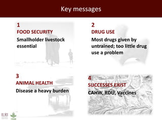 Policy and practice: Developing countries and livestock drug use